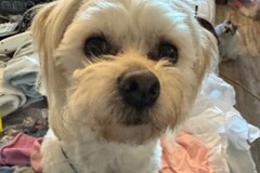   : Winnie