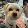  : Winnie