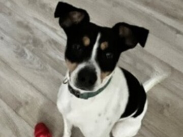   : Charlie