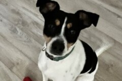   : Charlie