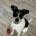   : Charlie
