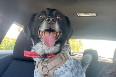   : Oreo