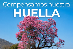Radar: Compensamos nuestra huella
