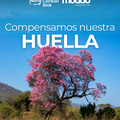 Radar: Compensamos nuestra huella