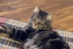   : Marley