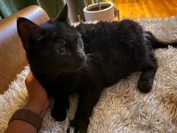   : Coco