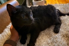   : Coco