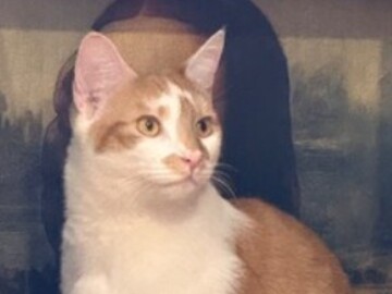   : Butters