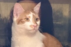   : Butters