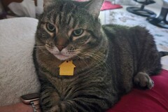   : Ella
