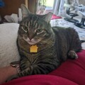   : Ella