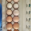 Selling with In-person Payment: Farm fresh dozen egg