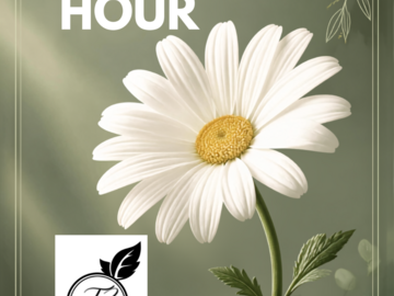 VA Service Offering: Power Hour