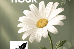 VA Service Offering: Power Hour