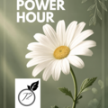 VA Service Offering: Power Hour