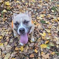   : Luna