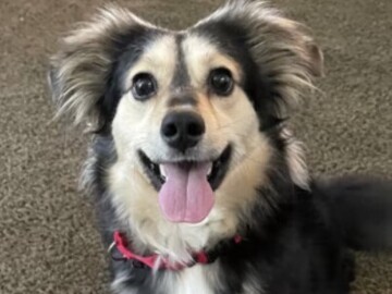   : Tuukka