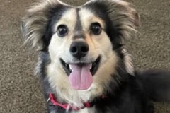   : Tuukka