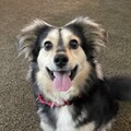   : Tuukka