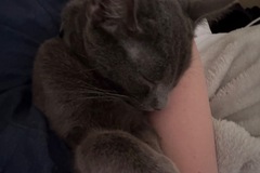   : Bruce