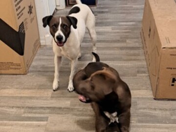   : Penny and Coco