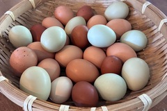 Selling with In-person Payment: Farm Fresh Eggs, Livermore, Ca