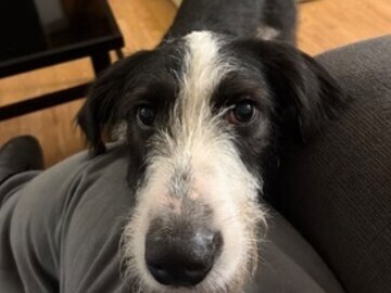   : Remi 