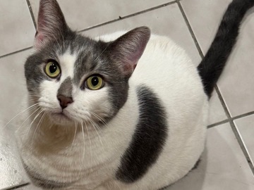   :  Tinker