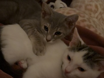   : Chel & Milllie