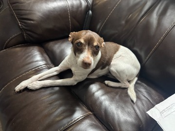   : Zoey