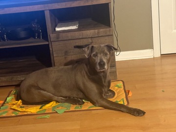   : Coco