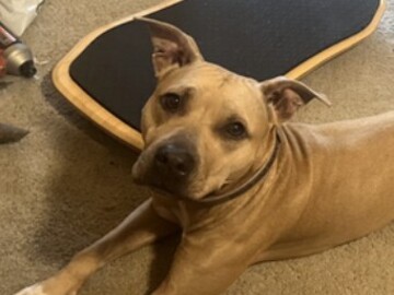   : Fiona