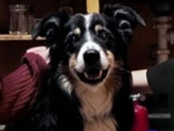   : Stan