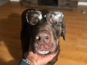   : Roscoe 