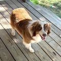   : Charlotte