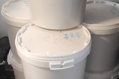 Les miels : Miel de colza français 2026 – seaux de 40 kg