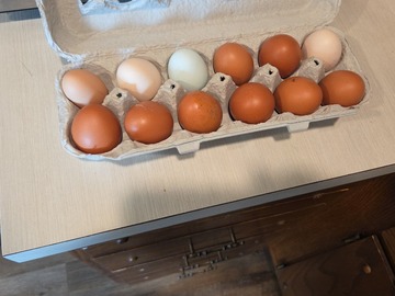 Selling with In-person Payment: Farm fresh chicken eggs 