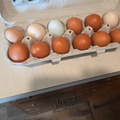 Selling with In-person Payment: Farm fresh chicken eggs 