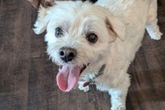   : Oliver