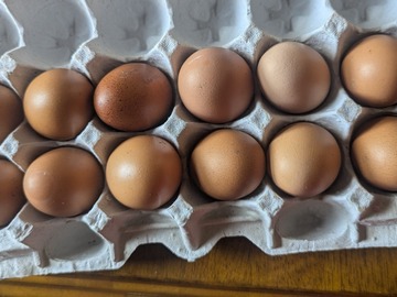 Selling with online payment: One Dozen Brown Eggs