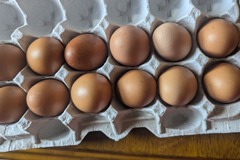 Selling with online payment: One Dozen Brown Eggs