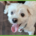  : Oliver