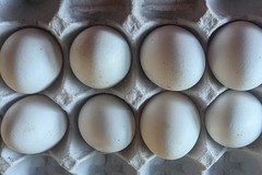 Selling with online payment: One Dozen White Eggs 