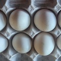 Selling with online payment: One Dozen White Eggs 