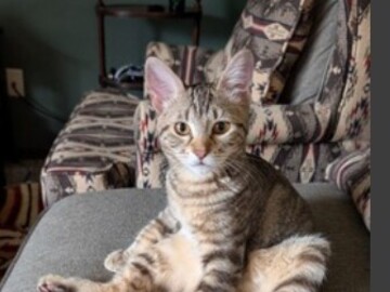   : Charlie