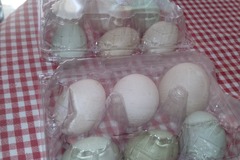 Selling with online payment: Fresh Duck Eggs