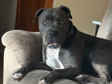   : Scrappy