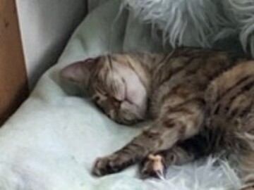  : Murphy Jane