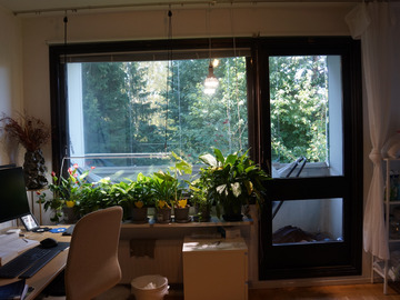 Renting out: Yksiö 30 m2 Espoon Tontunmäessä