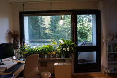 Renting out: Yksiö 30 m2 Espoon Tontunmäessä